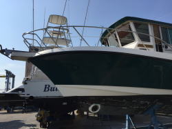 �X���X�^�[�̏C�� 1