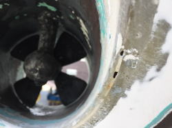 �X���X�^�[�̏C�� 5