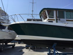 �X���X�^�[�̏C�� 9